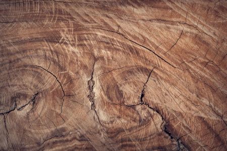 Legno